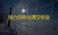 强力回收站清空恢复